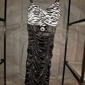 Zebra Dress